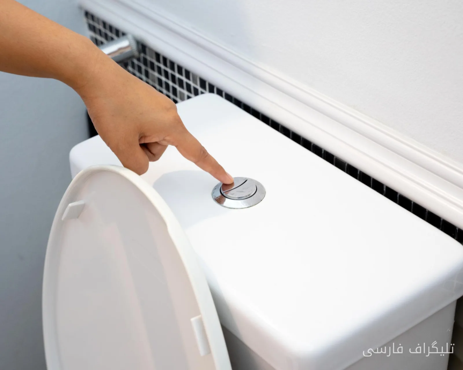 Revealing Hidden Dangers in Bathrooms: Bacteria in the Air!
