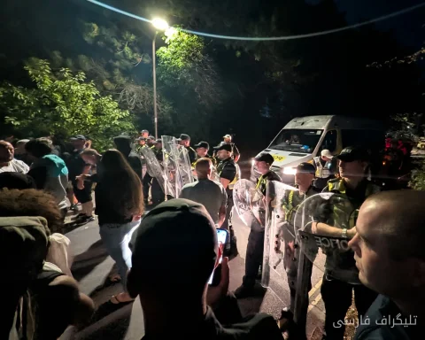 اعتراضات ضد مهاجران: آیا پلیس در برابر ارعاب سکوت کرده است؟