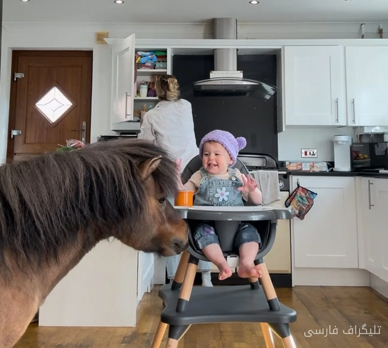 Leben mit Pferden: Ein Mädchen, das sein Frühstück mit einem Pony isst